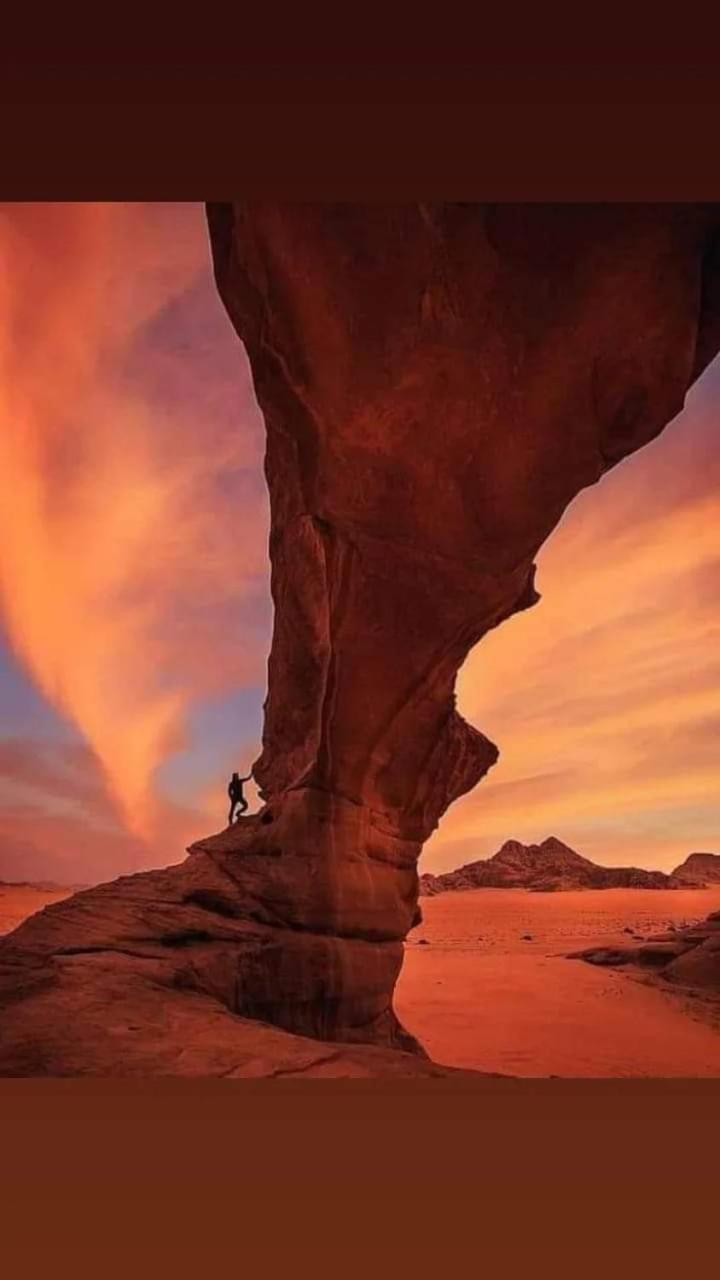 Harmony Luxury Camp Hotel Wadi Rum Exterior photo