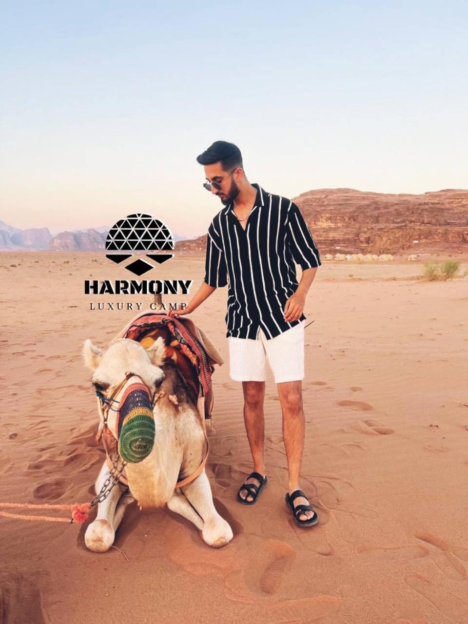 Harmony Luxury Camp Hotel Wadi Rum Exterior photo