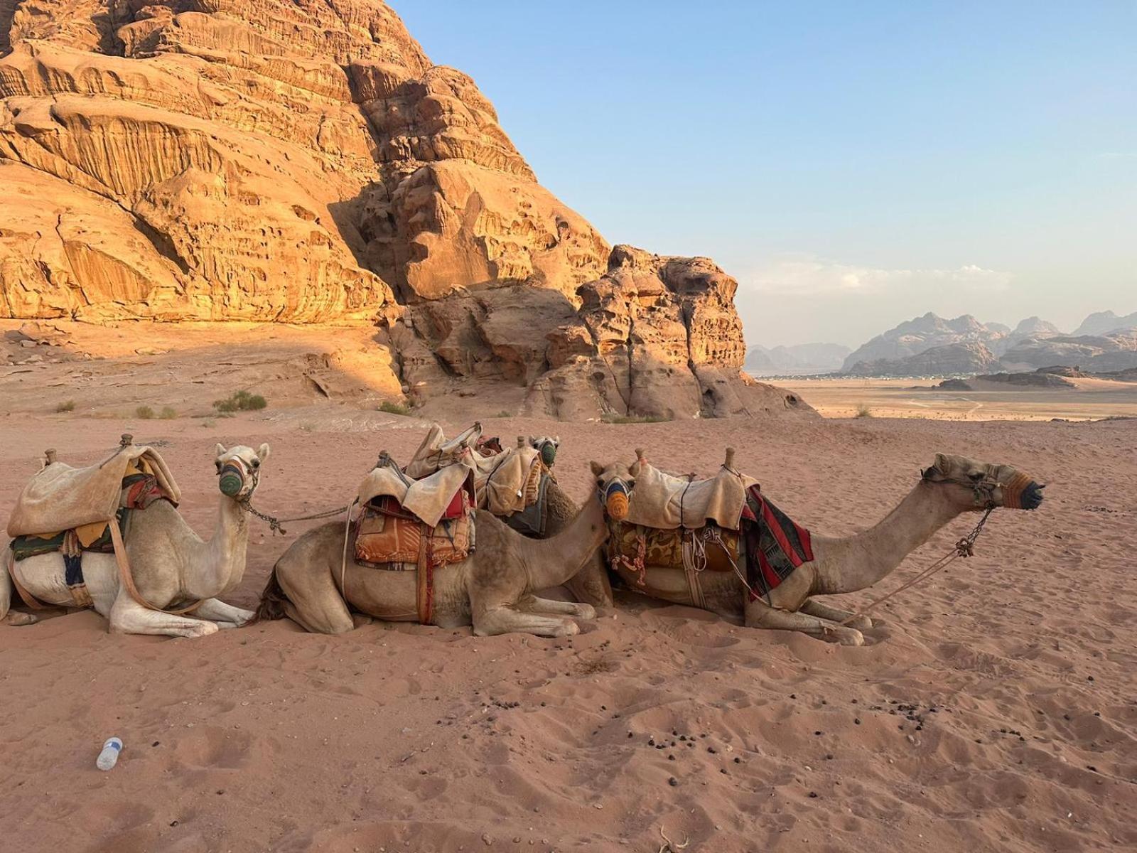 Harmony Luxury Camp Hotel Wadi Rum Exterior photo